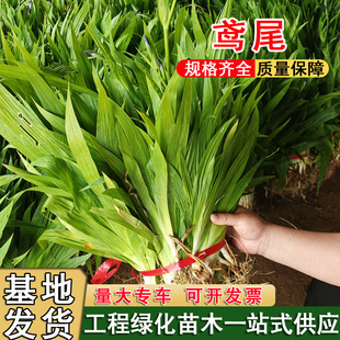 �Sβ���{���SβͥԺ�����޸������ϻ������ͺ��׻�������ر��G��