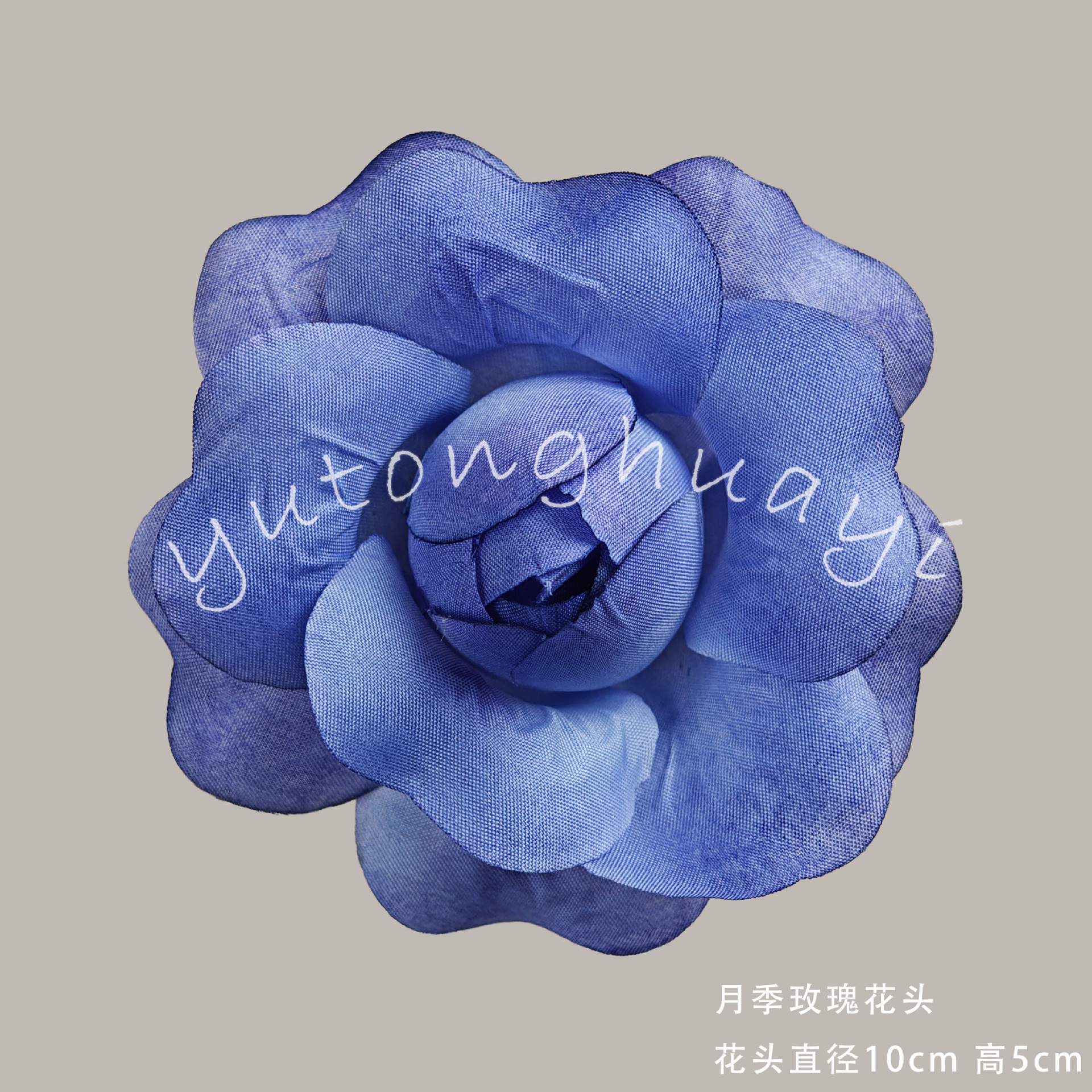 Rose flowers