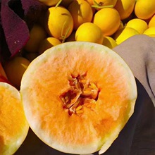 ��Ʒ��������S�����S���۹��SƤС��ϴ����֭10��������rˮ��