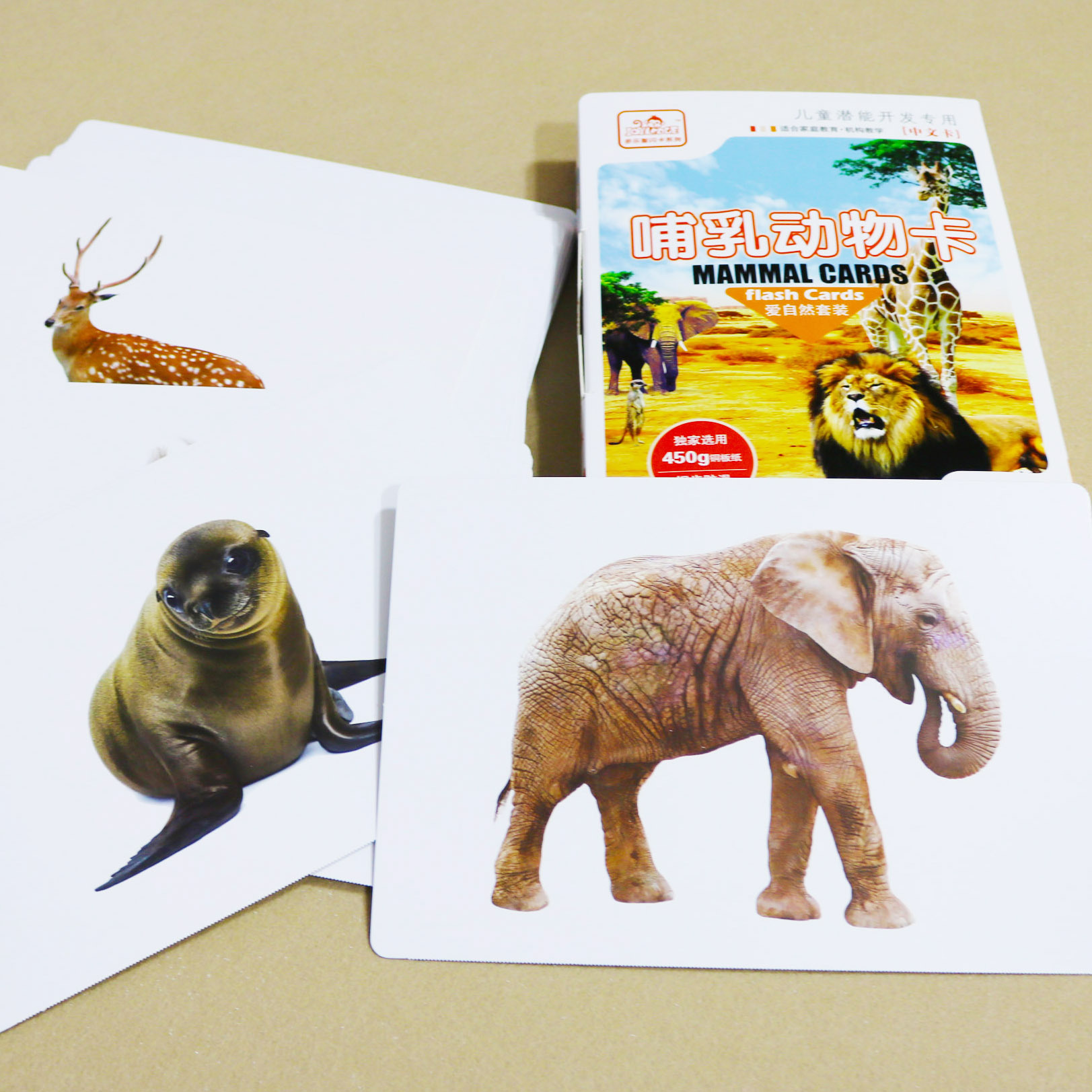 Mammals card (50)