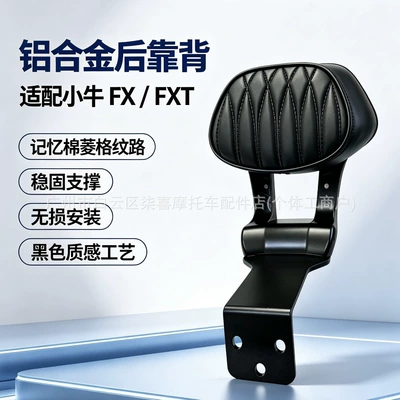 Suitable for Niu FSciti/FS/FX wind speed backrest, new electric vehicle FXT cushion, thickened rear backrest accessories