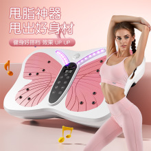 家用健身器材懒人蓝牙音乐智能甩脂机塑形减脂站立式震动机抖抖机