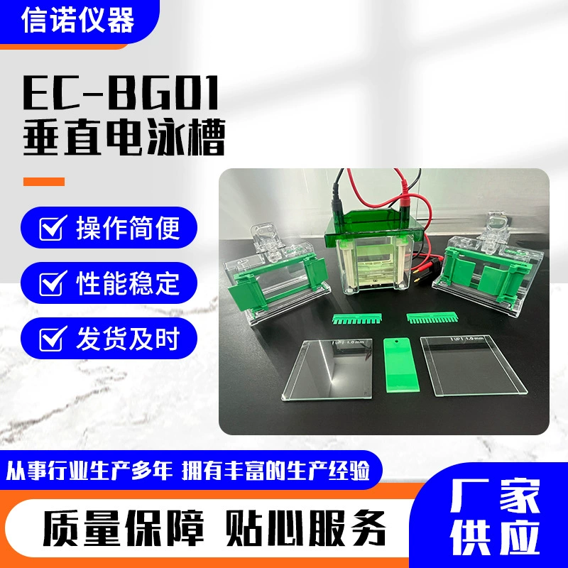 Оптовая продажа EC-BG01-Вертикальный резервуар для электрофореза, нейтральный источник питания для электрофорезного прибора, мини-вертикальный электрофорезный прибор, стекло
