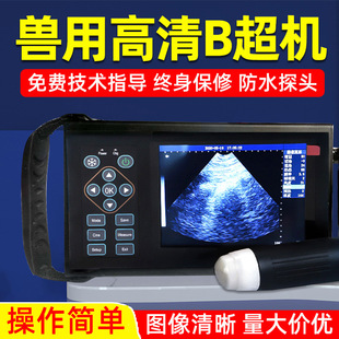 �F��b���Cĸ�i��B���ʳ�����y�Ѓx�����y�z�Ѓx����y