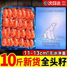 北极虾新鲜甜虾刺身冰虾大虾超大带籽头籽腹籽北极熊海鲜水产鲜活