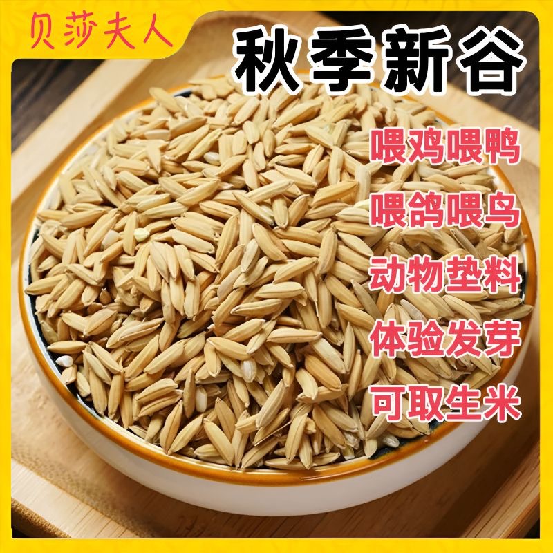 94a5425c6ffeb298a47adecc4d65fc