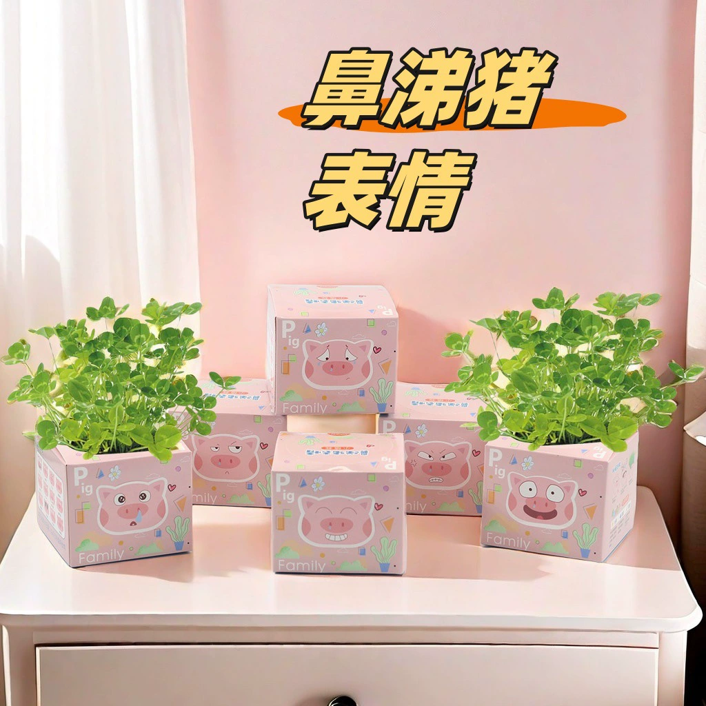 Сно свиньи выражение в горшках DIY детский подарок для посадки креативный мини-студент зеленое растение милое маленькое растение в горшках
