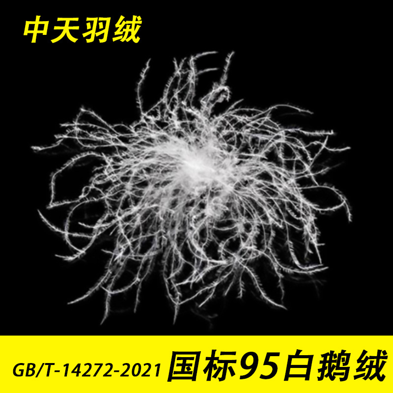 羽绒厂家直销新国标95白鹅绒2021标95鹅绒95大朵绒高蓬松填充羽绒