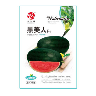 �Нh���������ϷN�Ӻ�Ƥ��tȿ������֭���������ز����ѹ�