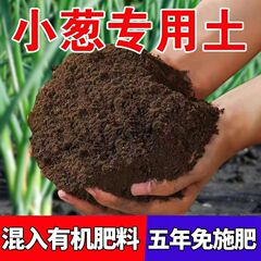 葱姜蒜专用土香葱营养土通用种菜土阳台盆栽通用疏菜种植土壤肥料