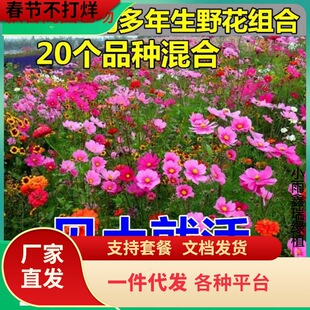 һ�����l�ͺ�ͥԺ���N�������ļ��_����˹�հ��ղݻ���Ұ���M�ϷN