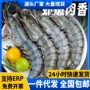 商用冷冻水产大号老虎虾