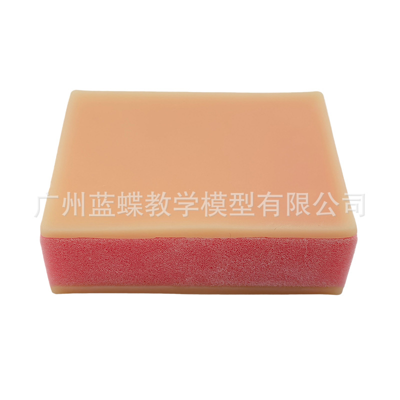 �����ϰģ�� ��ѧ�����Ƥ����ϰģ�� �轺����ע����ϰģ��