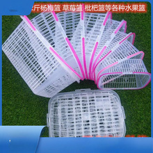 ���ώ���÷��ˮ���@���ϲ�ݮ�@��ժɣ������@�������ӻ@���w