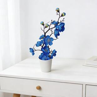 ���滨÷�����Ծ����滨��ʽ�D÷���Լٻ��Ҿӕ����廨�[���b�