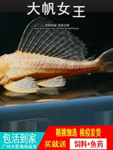 �t��Ů����������~�ח����γ��������~�������~���y�������w