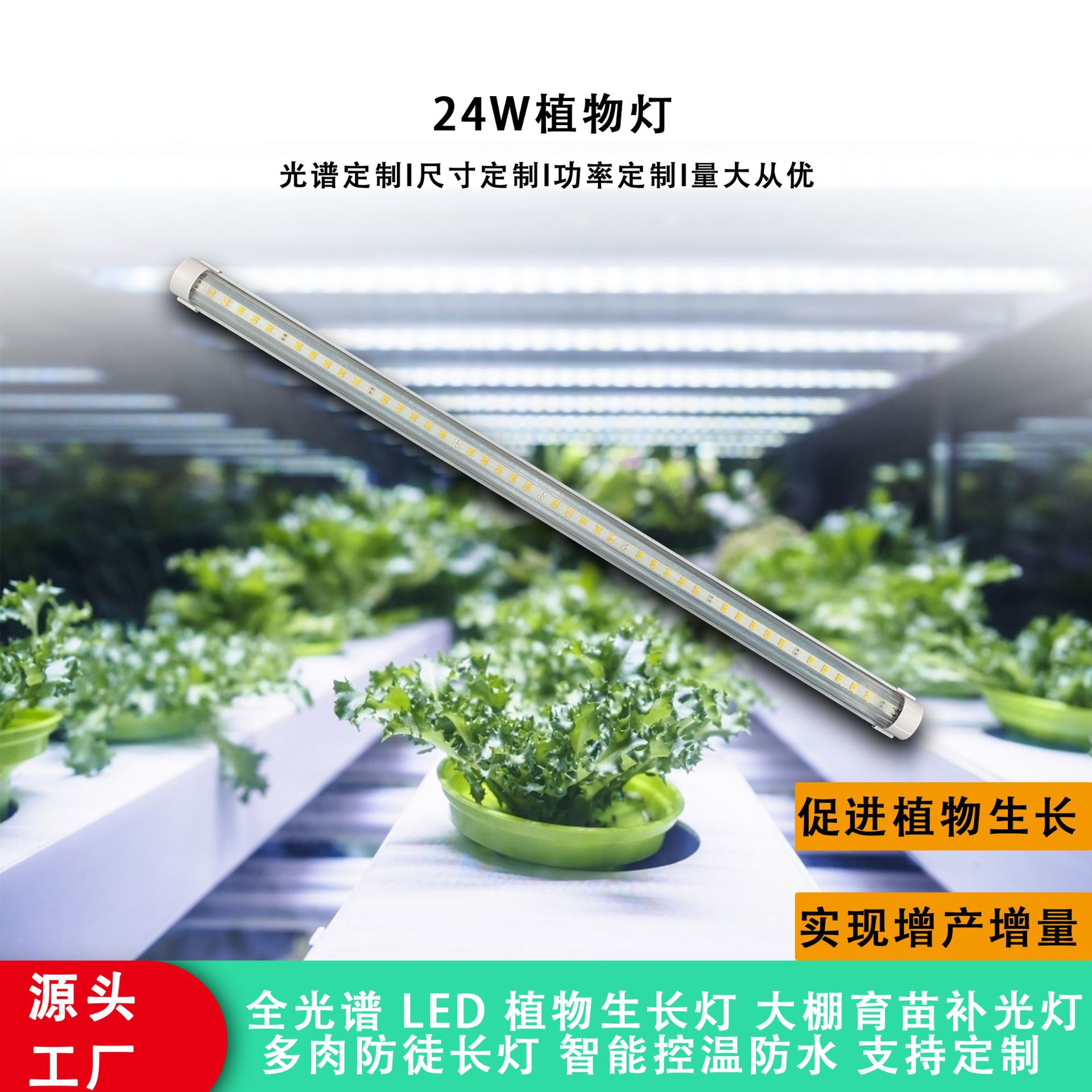 t8�ƹ�ֲ������ڵ���ȫ����ֲ���������߲˴���ֲ�ﲹ���