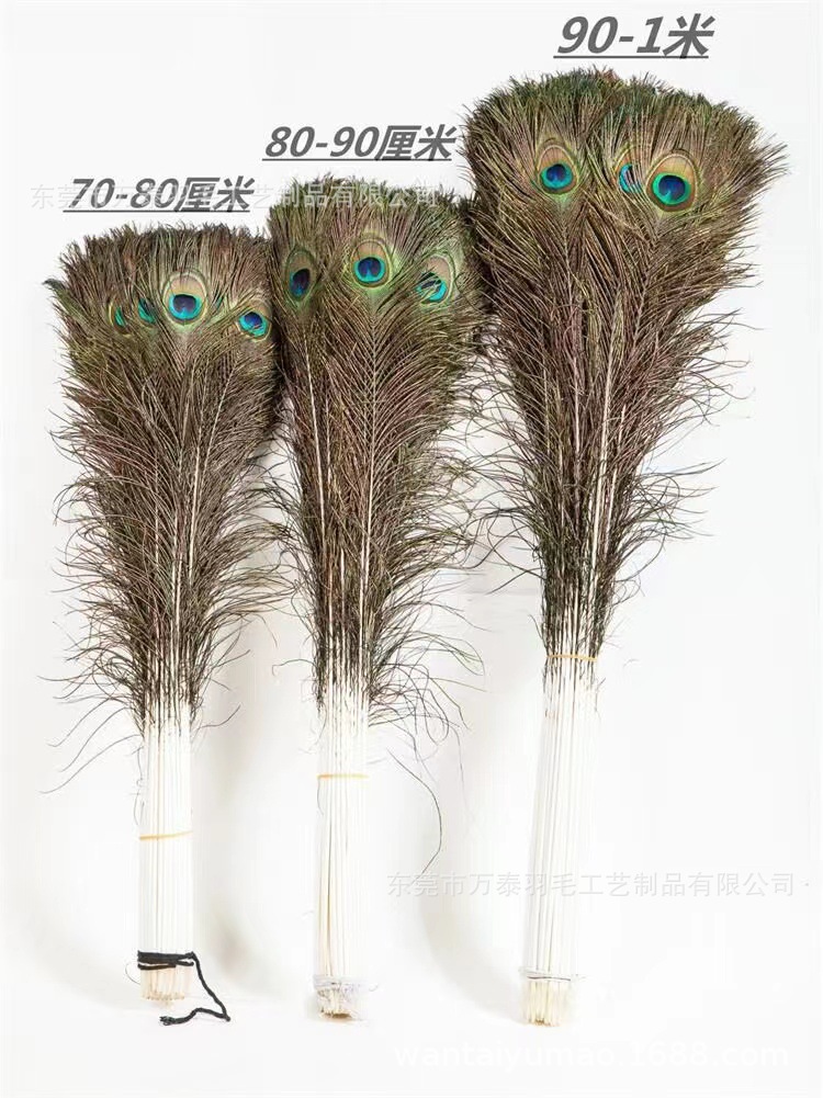 微信图片_20230216174433.jpg