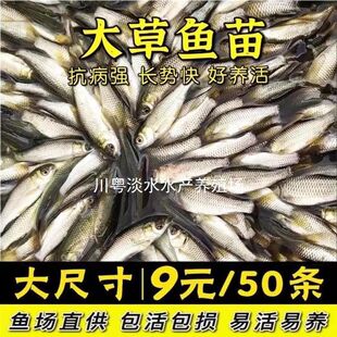 ���|����~�絭ˮ�Bֳ���~��������~�Ĵ���~�a�~�绨���~�����l