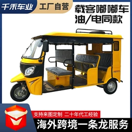 正三轮摩托车;电动三轮车;其他发动系统