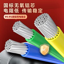 ���˼���220v���I380V����BLV��о�X��16 25 35 50ƽ�����⌣�þ�