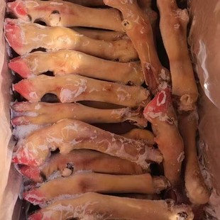 ����������r����[�������^��؛���l�������r����S��ֱ�N����