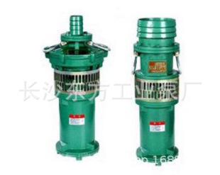 ��ʽ��ˮ����늱þ����T��QY15-220/6-18.5