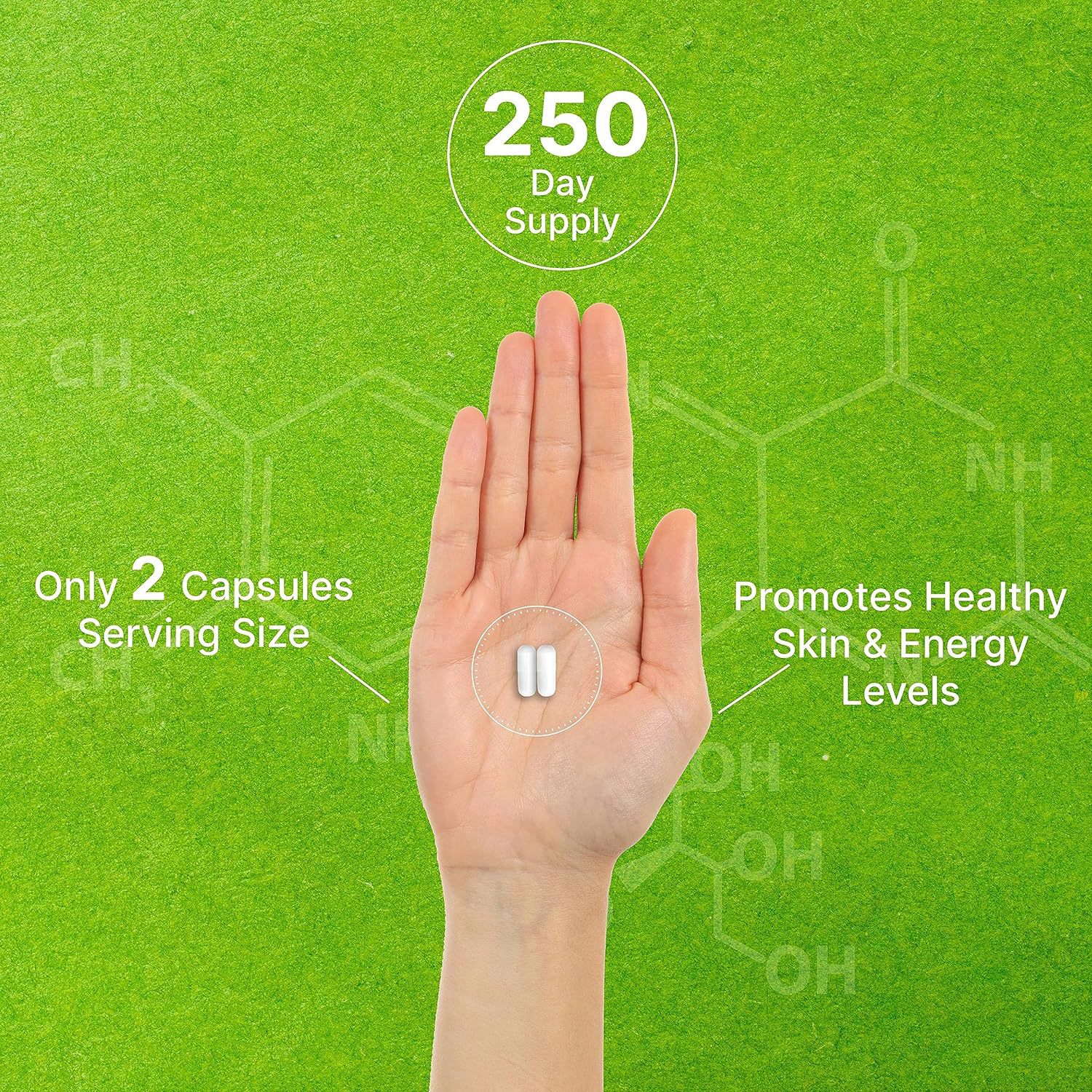ビタミンB3カプセルVitamin B3 Capsulesニコチン酸補充剤は国境を越えた供給をサポートしている