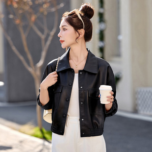 Ʒ�ƌ�������Ƥ���n��r�оd��Ƥ���L���eƤ�A�˳����C܇�A������