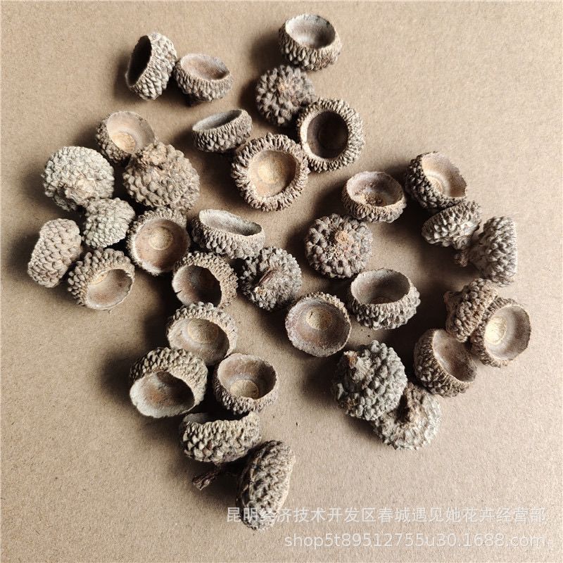 Acorn Caps, Pine Cones, Pine Cones Wreaths, Dried Flowers, Wood Pieces, Handmade DIY Decoration Materials Acorn Caps, Pine Cones, Pine Cones Wreaths, Dried Flowers, Wood Pieces, Handmade DIY Decoration Materials