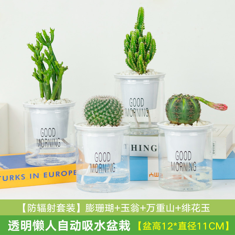 방사선 방호복 완중산 + 붉은 꽃 옥 + 부풀어 오른 산호 + 옥 웽(흡수 분지)이 비를 보냅니다.