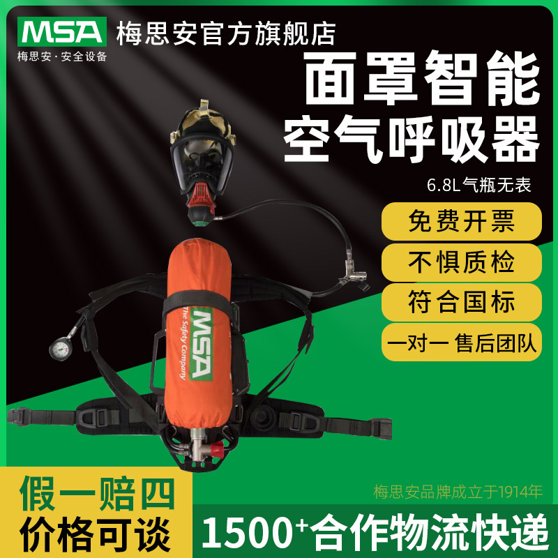 MSA 梅思安 MSA 梅思安 10176286 AG2100  AG2100 UE面罩智能空气