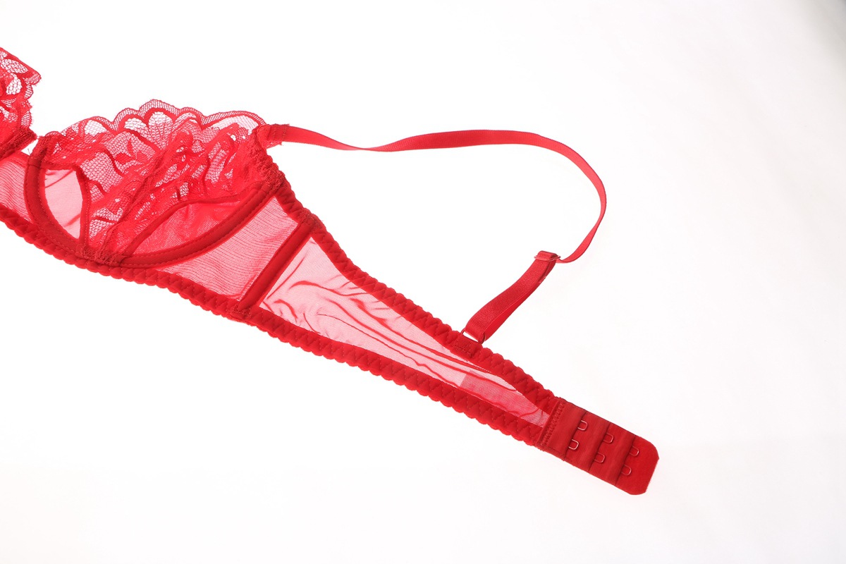 Women's Bra And Briefs Set Lace Perspective Thin Bra For Ladies_voghion.com
