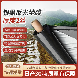 Factory wholesale black film PE thickened insulation reflective film perforated plastic silver black weeding film agricultural film