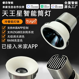 射灯;筒灯;其他室内灯具