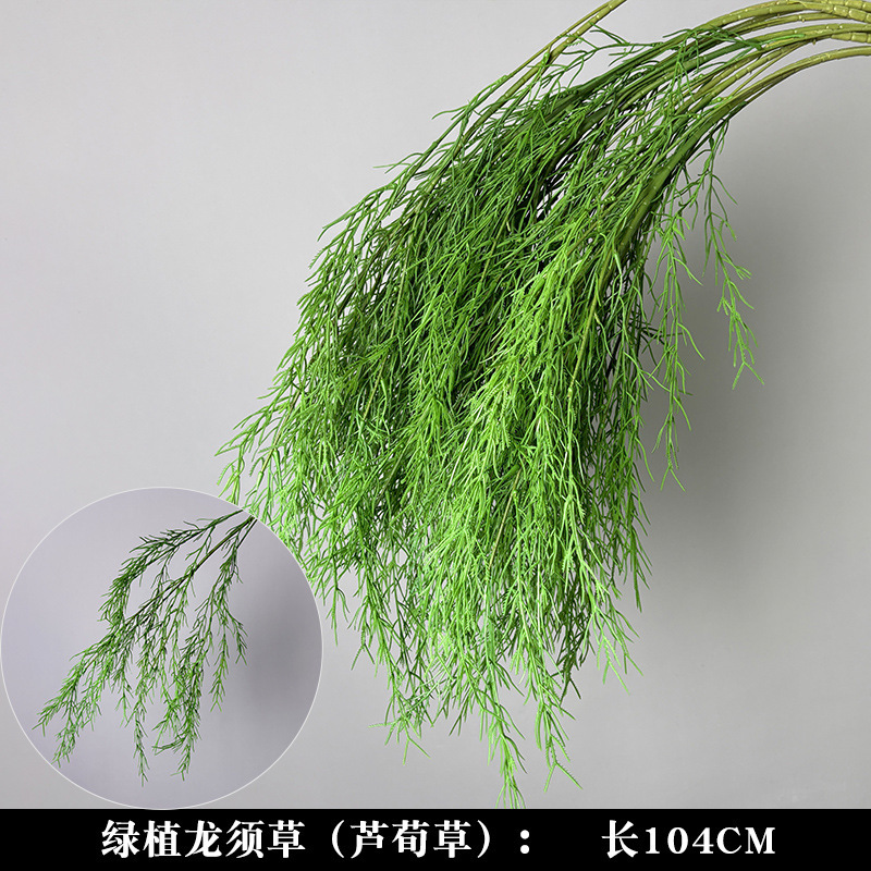 Asparagus and Asparagus [Recommended by the store manager, 100,000 people have repurchased the best-selling model]