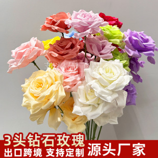 3�^�ʯõ�� �����~��c���ĵ��Ż��廨õ�廨�ٲ���������