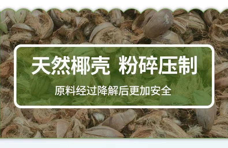 92fcd406-5d17-4f15-aa03-66e505c77d87.jpe