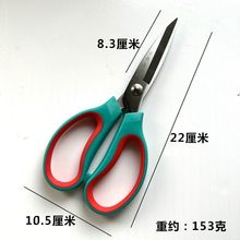 P5JP䓏üh̖pɫmֱƤzNӰ