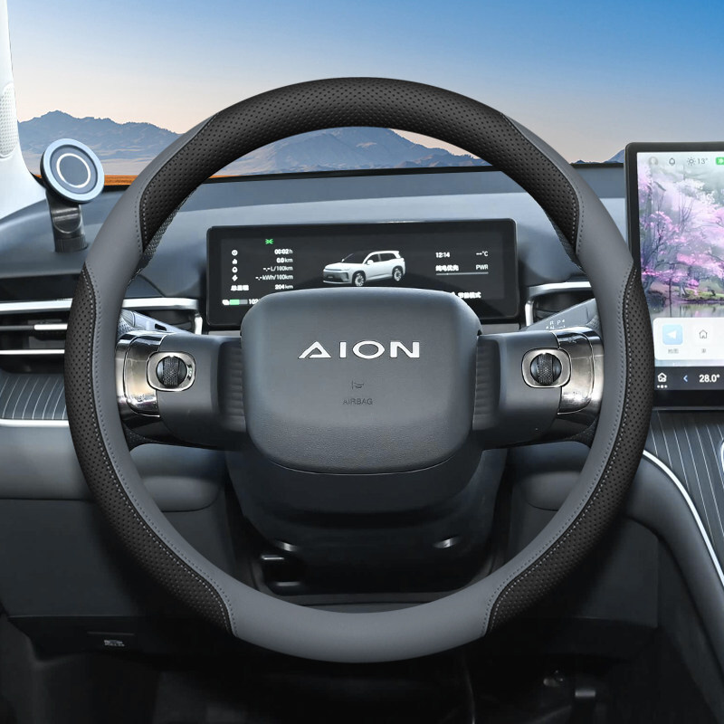 Steering wheel cover | Pure Electric Extended-Range Interior Modification