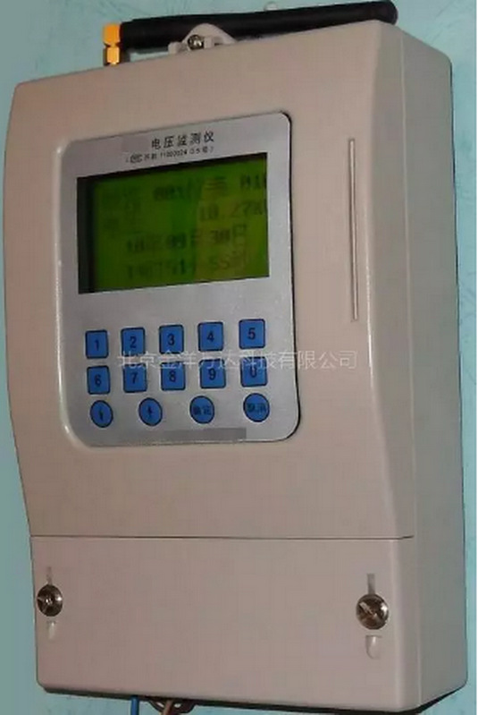 电压监测仪 型号:RP033-DT5-100库号：M256770