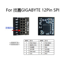 For GiGa 12Pin SPI tpm 2.0 Զ�̿����ܰ�ȫģ��