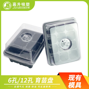 ���R�d�����¿�Ӻ���{��͸���w6��12������������ױ��񱣝�