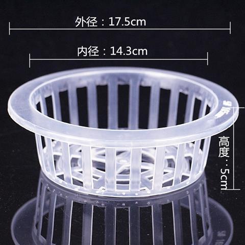 植木鉢植栽バスケット 水耕植物ガラス花瓶 グリーンソーン植栽バスケット 無土壌栽培花 浅型根固定剤|undefined
