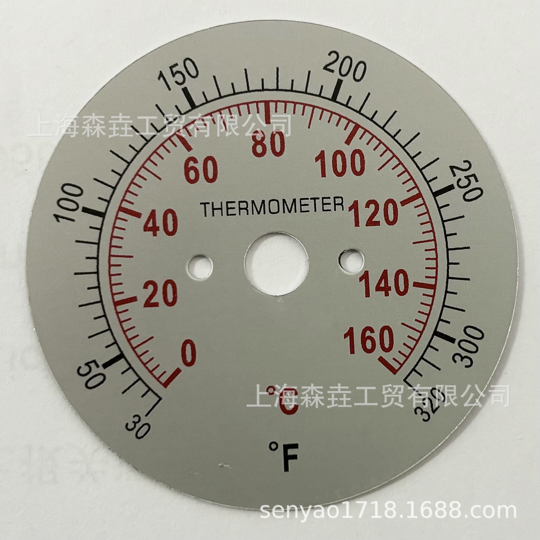ɭ������SS304̽���¶ȼ� -40/160F IP55��ɫ