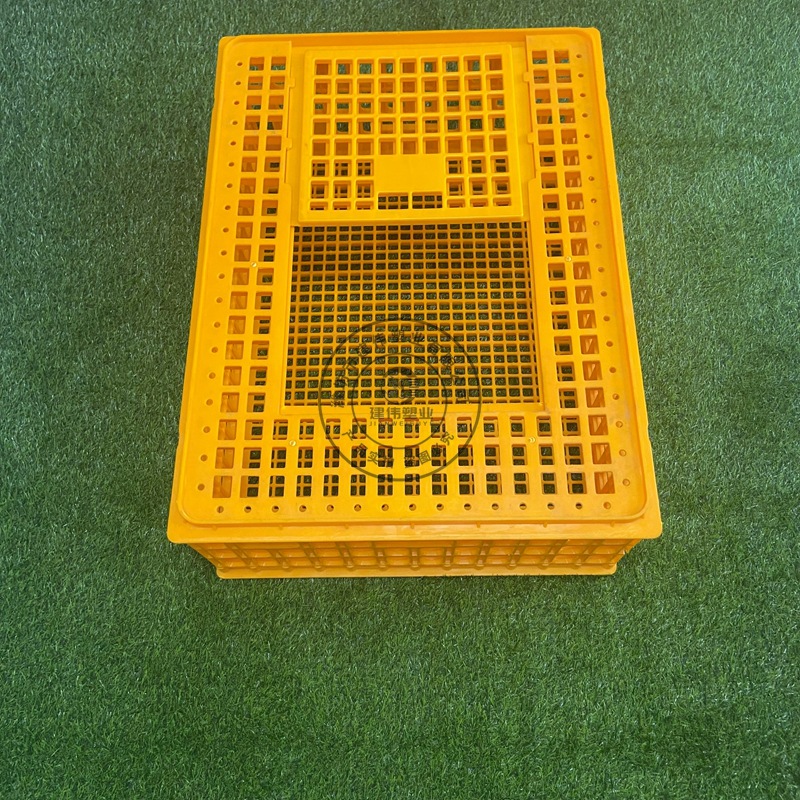 Jaula de pollo de plástico engrosada jaula de transporte de pollo, pato y ganso jaula de transporte de aves de corral vivas rectangular caja de facturación de la cesta de pollo