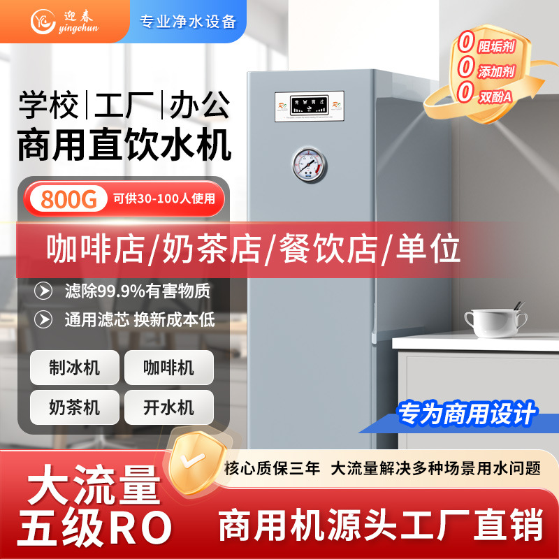 Yingchun Commercial Water Purifier for Schools, Units, Milk Tea Shops, Ro Reverse Osmosis Business Direct Drinking Machine, Pure Water for Home Use