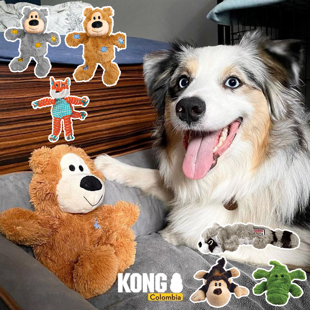 KONG 개 장난감 패치 곰 플러시 로프 매듭 소리 줄다리기 대화 형 어금니 방지 줄다리기 동반자