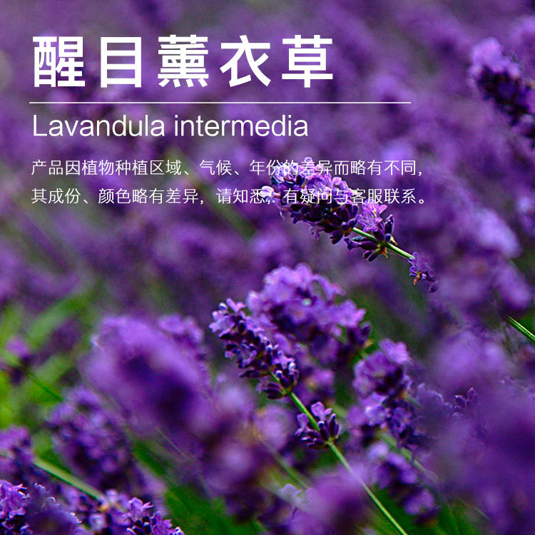 ���ҹ�Ӧ��Ŀ޹�²ݾ���  ������ȡ޹�²��� ֲ�������ʹ�������