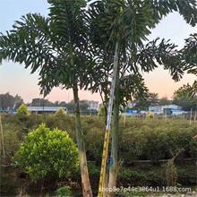 ��βҬ�Ӷ��~�غ�βҬ���U�����l�U��2-6��